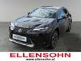 Lexus UX 250h 4x4, Advanced Schwarz - thumbnail 1