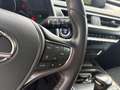Lexus UX 250h 4x4, Advanced Schwarz - thumbnail 23