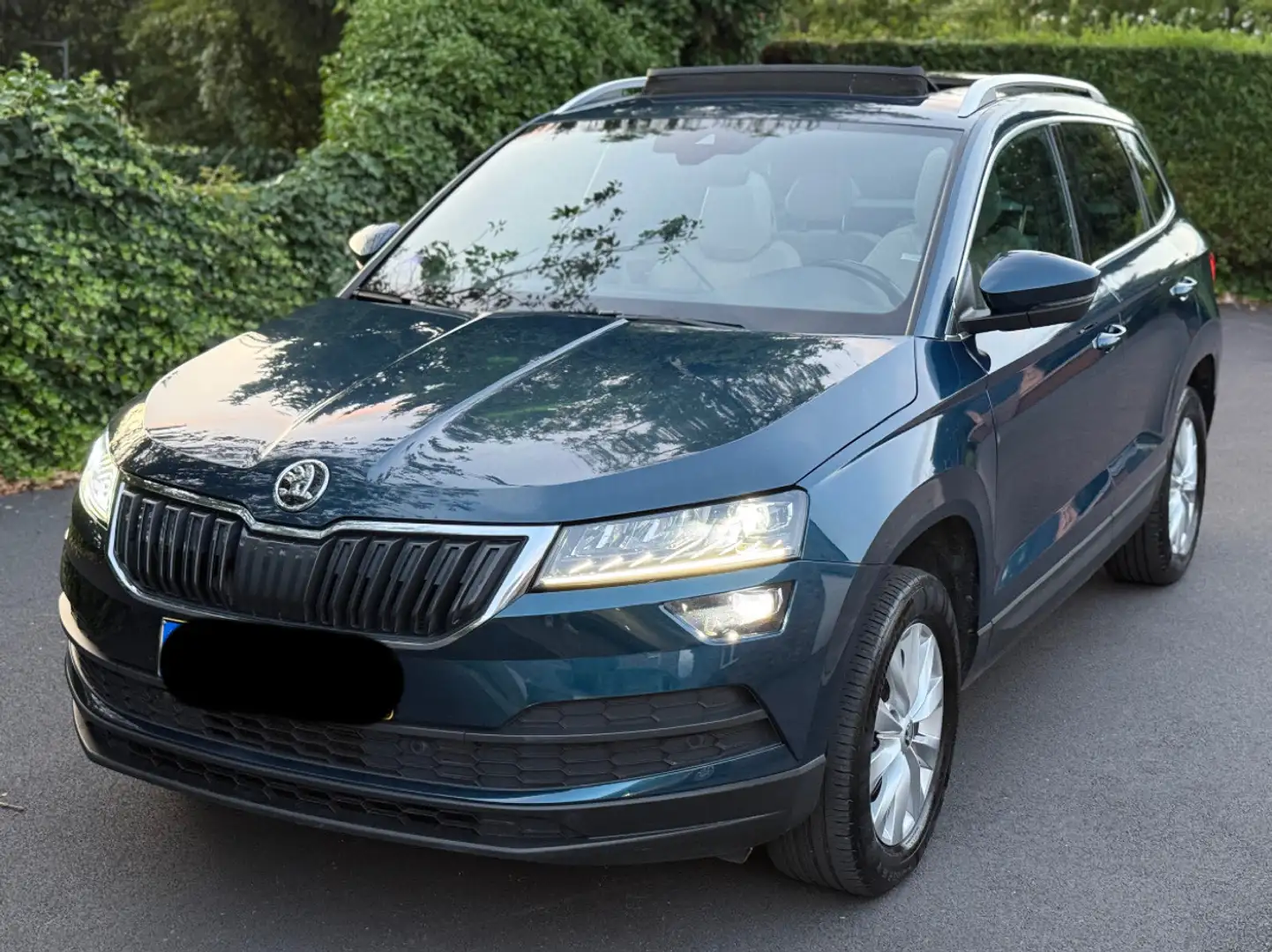 Skoda Karoq 1.0 TSI 116 ch DSG7 Business Bleu - 1