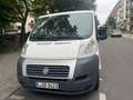 Fiat Ducato Ducato L1H1 250.SL1.0 Weiß - thumbnail 1