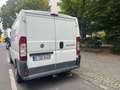 Fiat Ducato Ducato L1H1 250.SL1.0 Weiß - thumbnail 3