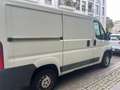 Fiat Ducato Ducato L1H1 250.SL1.0 Weiß - thumbnail 4