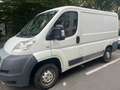 Fiat Ducato Ducato L1H1 250.SL1.0 Weiß - thumbnail 2