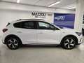 Ford Focus 1.0 EcoBoost Hybrid 125 CV 5p. Active X Weiß - thumbnail 6