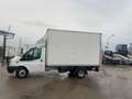 Ford transit cassa e sponda a battuta Bianco - thumbnail 2