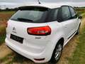 Citroen C4 Picasso C4 Picasso AUTOMATIQUE  GPS CLIM GARANTIE Blanc - thumbnail 6
