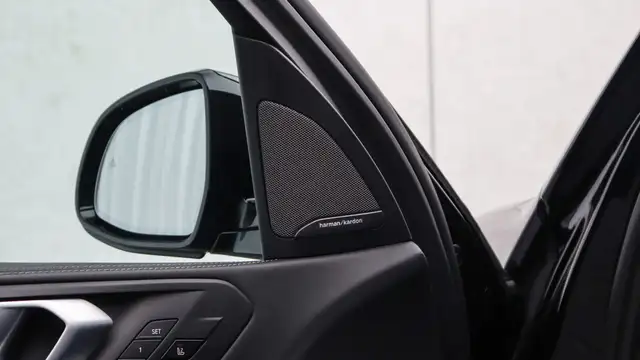 BMW X5 view 10