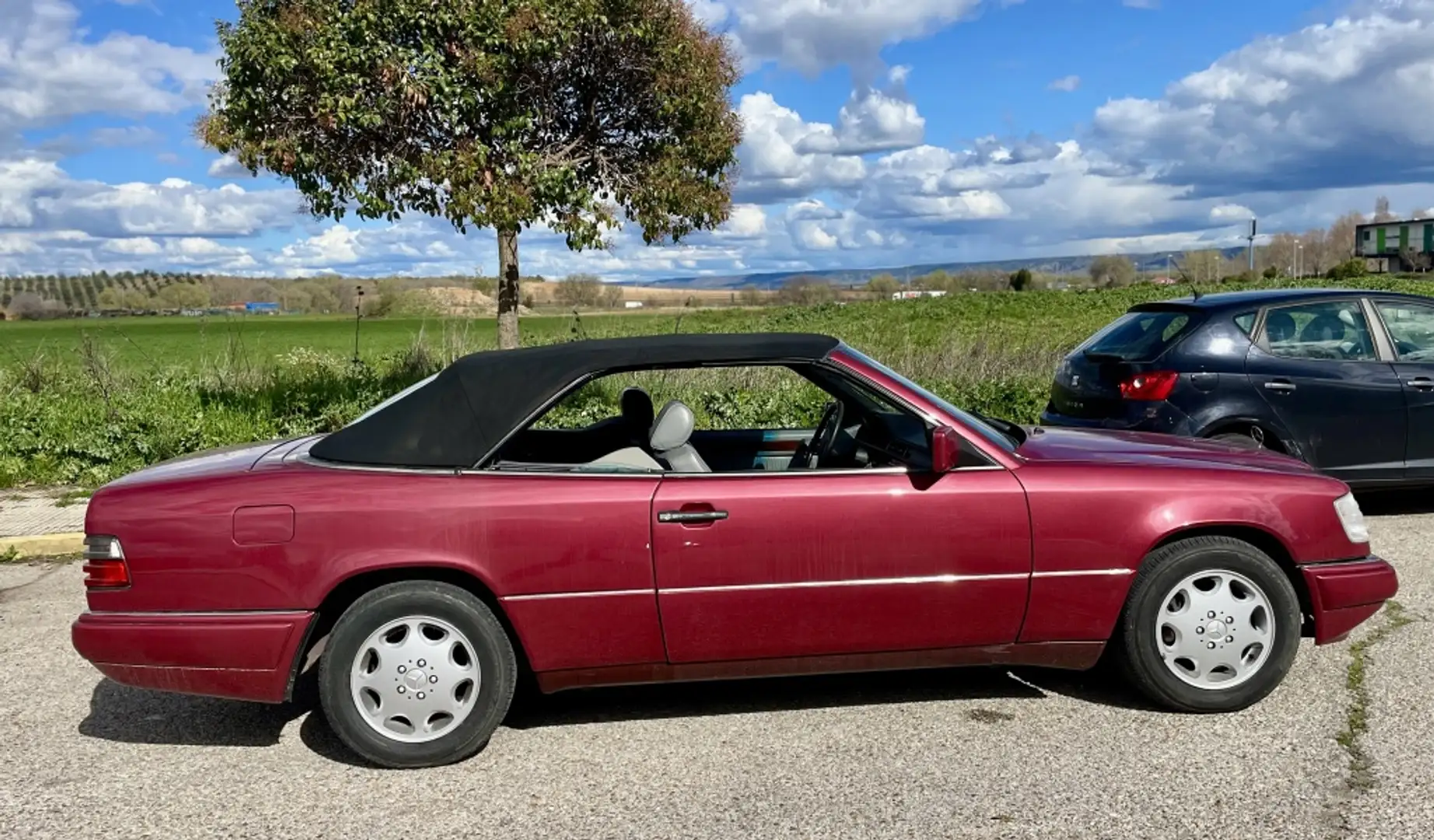 Mercedes-Benz E 320 Cabriolet Fialová - 2