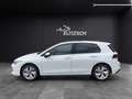 Volkswagen Golf TSI Pano AHK ACC Weiß - thumbnail 4