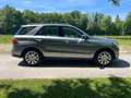Mercedes-Benz GLE 350 GLE 350 d 4Matic *Airmatic*LED*Pano-Dach* Grau - thumbnail 6
