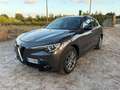 Alfa Romeo Stelvio 2.2 160 CV AT8 RWD Super Business!!! Grigio - thumbnail 1