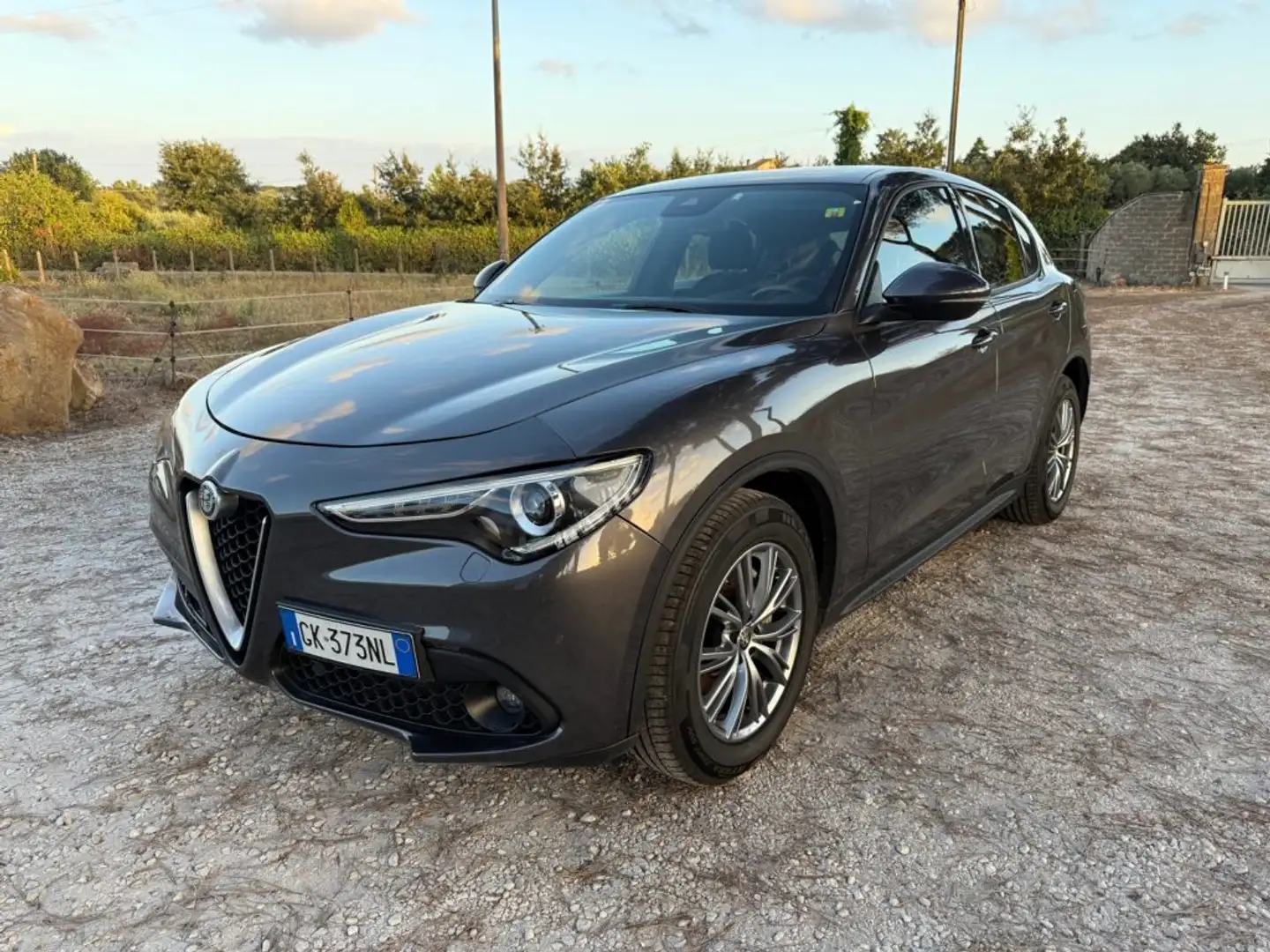 Alfa Romeo Stelvio 2.2 160 CV AT8 RWD Super Business!!! Grigio - 1