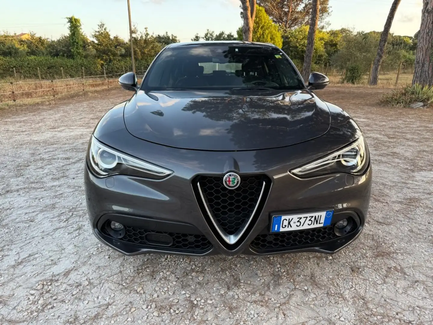 Alfa Romeo Stelvio 2.2 160 CV AT8 RWD Super Business!!! Grigio - 2