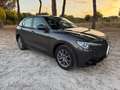 Alfa Romeo Stelvio 2.2 160 CV AT8 RWD Super Business!!! Grigio - thumbnail 3