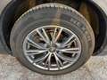 Alfa Romeo Stelvio 2.2 160 CV AT8 RWD Super Business!!! Grigio - thumbnail 9