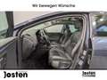 SEAT Leon ST X-Perience 2.0 TDI 4Drive LEDER NAVI PANO LED Gris - thumbnail 9