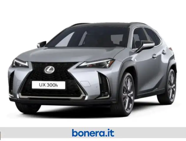 Lexus UX 300h 300h 2.0 F-Design 2wd 156cv cvt