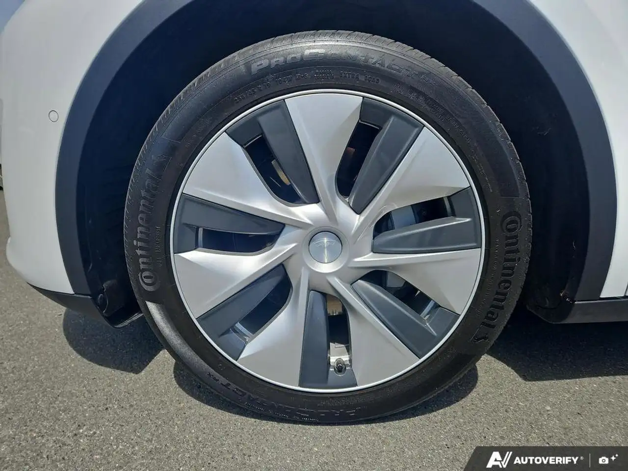 Tesla Model Y снимка Tesla Model Y