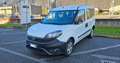 Fiat Doblo 1.3 MJT PC Combi 5P N1 , ESCLUSA IVA Bianco - thumbnail 7