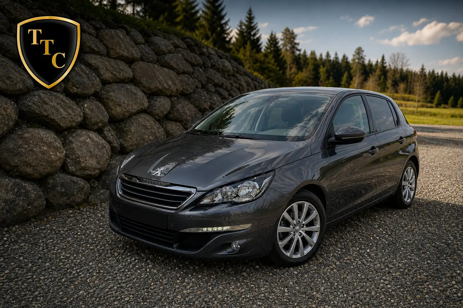 Peugeot 308 Grau - 1