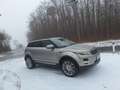 Land Rover Range Rover Evoque Range Rover Evoque Prestige 2,2 SD4 Prestige - thumbnail 5
