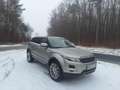 Land Rover Range Rover Evoque Range Rover Evoque Prestige 2,2 SD4 Prestige - thumbnail 7