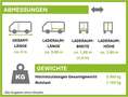 Iveco Daily 35 S 14 | Klima | Radio | netto 27.490,- Weiß - thumbnail 2