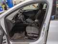 Ford Focus 2.0 EcoBlue Titanium AHK ACC BLIS Blanc - thumbnail 8