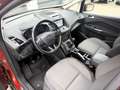 Ford Focus C-Max TITANIUM PLUS / Achteruit rij camera / Stuurverwar Rood - thumbnail 10