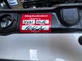 Fiat Panda 1,2 - Beste Ausstattungslinie, neuwertig. Silber - thumbnail 19