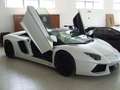 Lamborghini Aventador Aventador Roadster 6.5 LP 700-4 Bianco - thumbnail 8