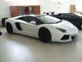 Lamborghini Aventador Aventador Roadster 6.5 LP 700-4 Bianco - thumbnail 1