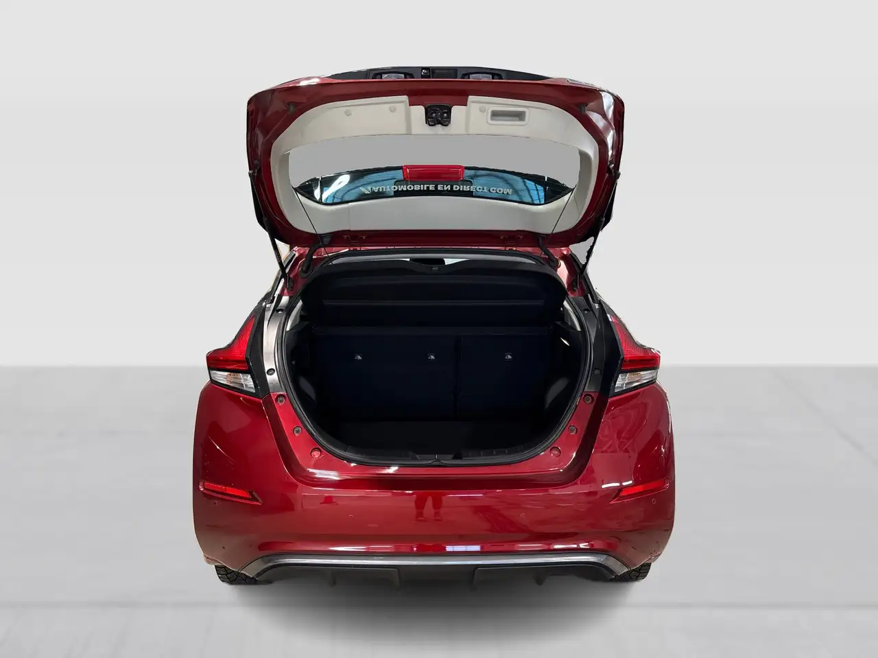 Nissan Leaf снимка Nissan Leaf