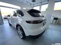Porsche Cayenne 3.0 V6 / MATRIX / MY 2019 / SEDILI RISCALD. E VENT Bianco - thumbnail 4