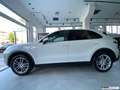 Porsche Cayenne 3.0 V6 / MATRIX / MY 2019 / SEDILI RISCALD. E VENT Bianco - thumbnail 8