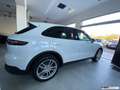 Porsche Cayenne 3.0 V6 / MATRIX / MY 2019 / SEDILI RISCALD. E VENT Bianco - thumbnail 5