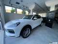 Porsche Cayenne 3.0 V6 / MATRIX / MY 2019 / SEDILI RISCALD. E VENT Bianco - thumbnail 3
