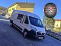 Fiat Ducato Maxi L4 H2 2.3 MJT 130cv 7 posti E6 Multicab N1 Blanco - thumbnail 1