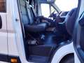 Fiat Ducato Maxi L4 H2 2.3 MJT 130cv 7 posti E6 Multicab N1 Blanco - thumbnail 13