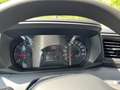 Renault Master My 24 dci 170 L2 H2 3,5 t Extra Grün - thumbnail 22