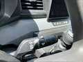 Renault Master My 24 dci 170 L2 H2 3,5 t Extra Grün - thumbnail 18