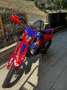 Beta RR 300 beta 300 racing - thumbnail 2