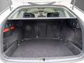 Skoda Octavia Combi 2.0 TDI DSG Style Navi, Matrix Blanco - thumbnail 6