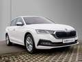 Skoda Octavia Combi 2.0 TDI DSG Style Navi, Matrix Blanco - thumbnail 3