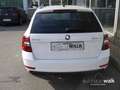 Skoda Octavia Combi 1.5 TSI Soleil NAVI LED GRA Weiß - thumbnail 5