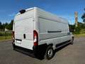 Fiat Ducato MJET L3H2 Met Easyloader lift Gris - thumbnail 15