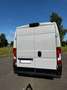 Fiat Ducato MJET L3H2 Met Easyloader lift Gris - thumbnail 13