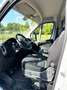 Fiat Ducato MJET L3H2 Met Easyloader lift Gris - thumbnail 4
