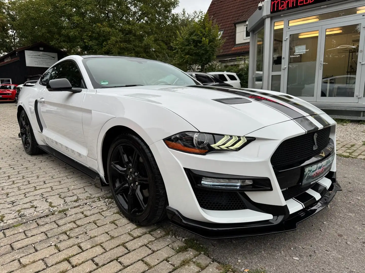 Ford Mustang 2.3 Eco Shelby GT-500/RECARO/Navi/Shz/ Weiß - 2
