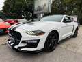 Ford Mustang 2.3 Eco Shelby GT-500/RECARO/Navi/Shz/ Weiß - thumbnail 1